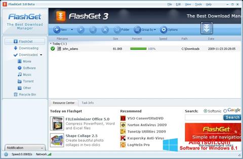 स्क्रीनशॉट FlashGet Windows 8.1