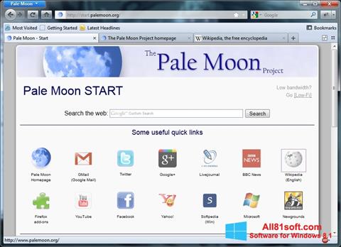 स्क्रीनशॉट Pale Moon Windows 8.1