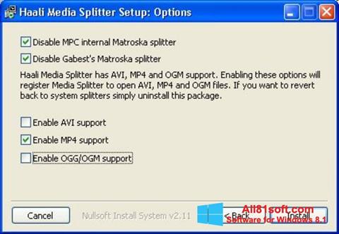 स्क्रीनशॉट Haali Media Splitter Windows 8.1