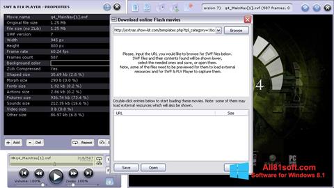 स्क्रीनशॉट FLV Player Windows 8.1