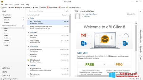 स्क्रीनशॉट eM Client Windows 8.1