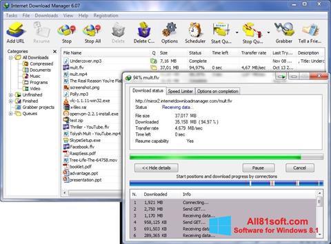 स्क्रीनशॉट Internet Download Manager Windows 8.1