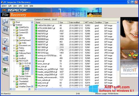 स्क्रीनशॉट PC Inspector File Recovery Windows 8.1
