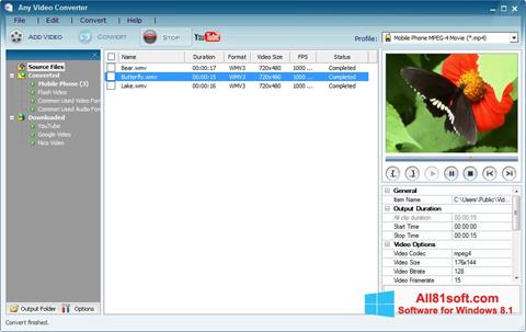 स्क्रीनशॉट Any Video Converter Windows 8.1