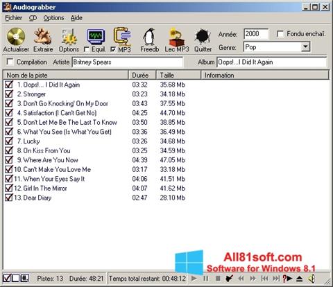 स्क्रीनशॉट Audiograbber Windows 8.1