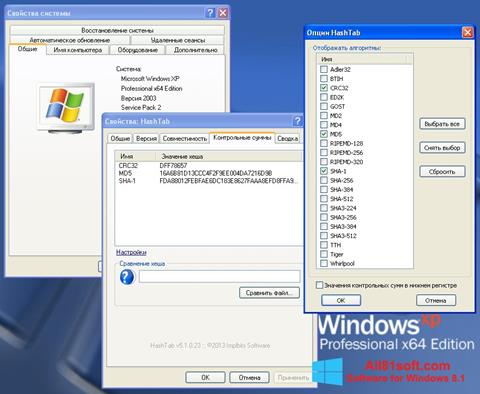 स्क्रीनशॉट HashTab Windows 8.1